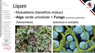 Prof. Kyoshi Beraldo
©
Líquen
• Mutualismo (benefício mútuo)
• Alga verde unicelular + Fungo ascomiceto, geralmente
(fotossíntese) (estrutura e nutrição)
#08
Fungos
Filogenia
Caracter.
Anatomia
Citologia
Semelhan.
Diversidad.
Classific.
Quitridio
Zigomiceto
Rep sex
Micorriza
Ascomiceto
Rep sex
Levedura
Basidiomic
Rep sex
Líquen
Myxomicot
 