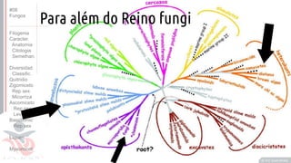 Prof. Kyoshi Beraldo
©
#08
Fungos
Filogenia
Caracter.
Anatomia
Citologia
Semelhan.
Diversidad.
Classific.
Quitridio
Zigomiceto
Rep sex
Micorriza
Ascomiceto
Rep sex
Levedura
Basidiomic
Rep sex
Líquen
Myxomicot
Para além do Reino fungi
 