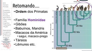 Prof. Kyoshi Beraldo
©
Prof. Kyoshi Beraldo
©
• Ordem dos Primatas
• Família Hominidae
• Gibões
• Babuínos, Mandris
• Macacos da América
• sagui, macaco-prego
• Társios
• Lêmures etc.
Retomando....
50 Ma
45 Ma
28 Ma
#18
Homem
Primata
A espécie
População
Escrita
Povoados
Agricultura
Caça coleta
>nós!
Cognitiva
>linguagem
>ficção
Neandertais
>e sapiens
Quadro evo
H. Erectus
Homo sp.
Australop.
>bipedes
Hominidae
Primatas
>marcas
 