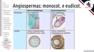 ©
Angiospermas: monocot. e eudicot.
•T
Prof. Kyoshi Beraldo
#11
Gimno e
Angiosp.
Retomando:
>filogenia
>tendência
Gimnosp.
>filogenia
>diversid.
>morfologia
>estrobilos
>gametóf.
>ciclo vital
Angiosp.
>poliniza
>a flor
>o fruto
>gametóf
>tubo polini
>ciclo
>monocot
>eudicot.
 