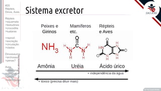 ©
Prof. Kyoshi Beraldo
©
#20
Répteis,
Dinos, Aves
Répteis
>squamata
>testudines
>crocodilia
>tuataras
>reprod.
>excreção
>circulação
>clados
Dinossauros
>archosaur
>penas?
Aves
>paleognat
>neognat
>penas
>reprodução
 