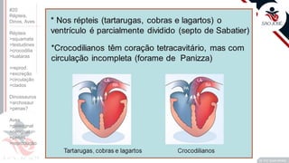 ©
E
Prof. Kyoshi Beraldo
©
• O
#20
Répteis,
Dinos, Aves
Répteis
>squamata
>testudines
>crocodilia
>tuataras
>reprod.
>excreção
>circulação
>clados
Dinossauros
>archosaur
>penas?
Aves
>paleognat
>neognat
>penas
>reprodução
 