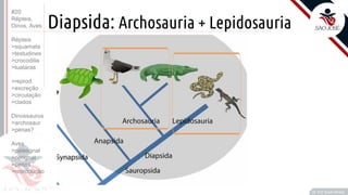 ©
Diapsida: Archosauria + Lepidosauria
Prof. Kyoshi Beraldo
©
#20
Répteis,
Dinos, Aves
Répteis
>squamata
>testudines
>crocodilia
>tuataras
>reprod.
>excreção
>circulação
>clados
Dinossauros
>archosaur
>penas?
Aves
>paleognat
>neognat
>penas
>reprodução
 