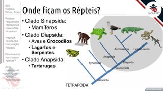Prof. Kyoshi Beraldo
©
Onde ficam os Répteis?
Prof. Kyoshi Beraldo
©
• Clado Sinapsida:
• Mamíferos
• Clado Diapsida:
• Aves e Crocodilos
• Lagartos e
Serpentes
• Clado Anapsida:
• Tartarugas
#20
Répteis,
Dinos, Aves
Répteis
>squamata
>testudines
>crocodilia
>tuataras
>reprod.
>excreção
>circulação
>clados
Dinossauros
>archosaur
>penas?
Aves
>paleognat
>neognat
>penas
>reprodução
 