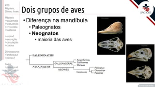 ©
Dois grupos de aves
Prof. Kyoshi Beraldo
©
• Diferença na mandíbula
• Paleognatos
• Neognatos
• maioria das aves
#20
Répteis,
Dinos, Aves
Répteis
>squamata
>testudines
>crocodilia
>tuataras
>reprod.
>excreção
>circulação
>clados
Dinossauros
>archosaur
>penas?
Aves
>paleognat
>neognat
>penas
>reprodução
 