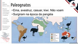 ©
Paleognatos
Prof. Kyoshi Beraldo
©
• Ema, avestruz, casuar, kiwi. Não voam
• Surgiram na época da pangéia
#20
Répteis,
Dinos, Aves
Répteis
>squamata
>testudines
>crocodilia
>tuataras
>reprod.
>excreção
>circulação
>clados
Dinossauros
>archosaur
>penas?
Aves
>paleognat
>neognat
>penas
>reprodução
 