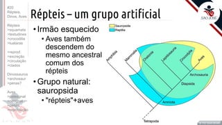 Prof. Kyoshi Beraldo
©
Répteis – um grupo artificial
Prof. Kyoshi Beraldo
©
•Irmão esquecido
• Aves também
descendem do
mesmo ancestral
comum dos
répteis
•Grupo natural:
sauropsida
• "répteis"+aves
#20
Répteis,
Dinos, Aves
Répteis
>squamata
>testudines
>crocodilia
>tuataras
>reprod.
>excreção
>circulação
>clados
Dinossauros
>archosaur
>penas?
Aves
>paleognat
>neognat
>penas
>reprodução
 