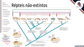 Prof. Kyoshi Beraldo
©
Répteis não-extintos
Prof. Kyoshi Beraldo
©
#20
Répteis,
Dinos, Aves
Répteis
>squamata
>testudines
>crocodilia
>tuataras
>reprod.
>excreção
>circulação
>clados
Dinossauros
>archosaur
>penas?
Aves
>paleognat
>neognat
>penas
>reprodução
 