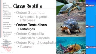 ©
Classe Reptilia
Prof. Kyoshi Beraldo
©
•Ordem Squamata
• Serpentes, lagartos,
anfisbenas
•Ordem Testudines
• Tartarugas
•Ordem Crocodilia
• Crocodilos e Jacarés
•Ordem Rhynchocephalia
• Tuataras
#20
Répteis,
Dinos, Aves
Répteis
>squamata
>testudines
>crocodilia
>tuataras
>reprod.
>excreção
>circulação
>clados
Dinossauros
>archosaur
>penas?
Aves
>paleognat
>neognat
>penas
>reprodução
 