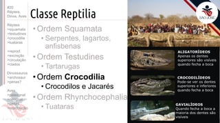 ©
Classe Reptilia
Prof. Kyoshi Beraldo
©
•Ordem Squamata
• Serpentes, lagartos,
anfisbenas
•Ordem Testudines
• Tartarugas
•Ordem Crocodilia
• Crocodilos e Jacarés
•Ordem Rhynchocephalia
• Tuataras
#20
Répteis,
Dinos, Aves
Répteis
>squamata
>testudines
>crocodilia
>tuataras
>reprod.
>excreção
>circulação
>clados
Dinossauros
>archosaur
>penas?
Aves
>paleognat
>neognat
>penas
>reprodução
 