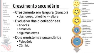 ©
Crescimento secundário
•Crescimento em largura (tronco!)
• obs: cresc. primário -> altura
•Exclusivo das dicotiledôneas
• árvores
• arbustos
• algumas ervas
•Dois meristemas secundários
• Felogênio
• Câmbio
Prof. Kyoshi Beraldo
©
#13
Estrutura
vegetal
Folha
>feixe
>tecidos
>xerofitas
Caule 1º
>dicot
>monocot
Caule 2º
>madeira
>casca
Raiz
>dicot 1º
>monocot
>dicot 2º
>morfo
 
