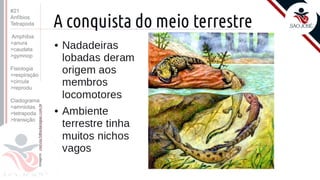 ©
Prof. Kyoshi Beraldo
#21
Anfíbios
Tetrapoda
Amphibia
>anura
>caudata
>gymnop
Fisiologia
>respiração
>circula
>reprodu
Cladograma
>amniotas
>tetrapoda
>transição
 