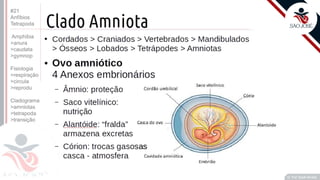 Prof. Kyoshi Beraldo
©
Prof. Kyoshi Beraldo
#21
Anfíbios
Tetrapoda
Amphibia
>anura
>caudata
>gymnop
Fisiologia
>respiração
>circula
>reprodu
Cladograma
>amniotas
>tetrapoda
>transição
 