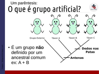 O que é grupo artificial?
Imagem:biologmehmet.blogcu.com
Um parêntesis:
● É um grupo não
definido por um
ancestral comum
ex: A + B
 