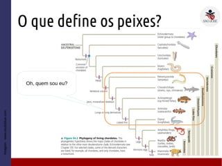 O que define os peixes?
Imagem:www.studyblue.com
Oh, quem sou eu?
 