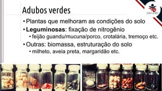 ©
Adubos verdes
•Plantas que melhoram as condições do solo
•Leguminosas: fixação de nitrogênio
• feijão guandu/mucuna/porco, crotalária, tremoço etc.
•Outras: biomassa, estruturação do solo
• milheto, aveia preta, margaridão etc.
Prof. Kyoshi Beraldo
©
 