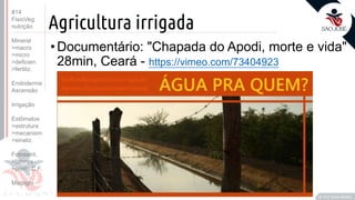 ©
Agricultura irrigada
•Documentário: "Chapada do Apodi, morte e vida"
28min, Ceará - https://vimeo.com/73404923
Prof. Kyoshi Beraldo
©
#14
FisioVeg:
nutrição
Mineral
>macro
>micro
>deficien.
>fertiliz.
Endoderme
Ascensão
Irrigação
Estômatos
>estrutura
>mecanism
>sinaliz.
Fotossint.
>fatores
>ponto C.F.
Malpighi
 