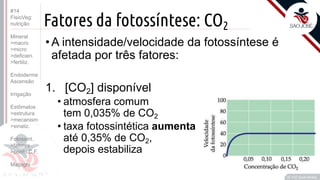 ©
Fatores da fotossíntese: CO2
•A intensidade/velocidade da fotossíntese é
afetada por três fatores:
1. [CO2] disponível
• atmosfera comum
tem 0,035% de CO2
• taxa fotossintética aumenta
até 0,35% de CO2,
depois estabiliza
Prof. Kyoshi Beraldo
©
#14
FisioVeg:
nutrição
Mineral
>macro
>micro
>deficien.
>fertiliz.
Endoderme
Ascensão
Irrigação
Estômatos
>estrutura
>mecanism
>sinaliz.
Fotossint.
>fatores
>ponto C.F.
Malpighi
 