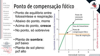 ©
Ponto de compensação fótico
• Ponto de equilíbrio entre
fotossíntese e respiração
• Abaixo do ponto, morre
• Acima do ponto, cresce
• No ponto, só sobrevive
• Planta de sombra:
pcf baixo
• Planta de sol pleno:
pcf alto
Prof. Kyoshi Beraldo
©
#14
FisioVeg:
nutrição
Mineral
>macro
>micro
>deficien.
>fertiliz.
Endoderme
Ascensão
Irrigação
Estômatos
>estrutura
>mecanism
>sinaliz.
Fotossint.
>fatores
>ponto C.F.
Malpighi
 