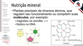 ©
Nutrição mineral
•Plantas precisam de diversos átomos, que
regulam seu funcionamento ou compõem suas
moléculas, por exemplo:
• magnésio na clorofila --->
• fósforo no DNA
Prof. Kyoshi Beraldo
©
#14
FisioVeg:
nutrição
Mineral
>macro
>micro
>deficien.
>fertiliz.
Endoderme
Ascensão
Irrigação
Estômatos
>estrutura
>mecanism
>sinaliz.
Fotossint.
>fatores
>ponto C.F.
Malpighi
 