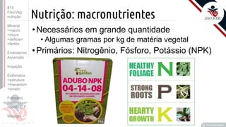 ©
Nutrição: macronutrientes
•Necessários em grande quantidade
• Algumas gramas por kg de matéria vegetal
•Primários: Nitrogênio, Fósforo, Potássio (NPK)
Prof. Kyoshi Beraldo
©
#14
FisioVeg:
nutrição
Mineral
>macro
>micro
>deficien.
>fertiliz.
Endoderme
Ascensão
Irrigação
Estômatos
>estrutura
>mecanism
>sinaliz.
Fotossint.
>fatores
>ponto C.F.
Malpighi
 