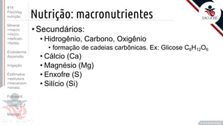 ©
Nutrição: macronutrientes
•Secundários:
• Hidrogênio, Carbono, Oxigênio
• formação de cadeias carbônicas. Ex: Glicose C6H12O6
• Cálcio (Ca)
• Magnésio (Mg)
• Enxofre (S)
• Silício (Si)
Prof. Kyoshi Beraldo
©
#14
FisioVeg:
nutrição
Mineral
>macro
>micro
>deficien.
>fertiliz.
Endoderme
Ascensão
Irrigação
Estômatos
>estrutura
>mecanism
>sinaliz.
Fotossint.
>fatores
>ponto C.F.
Malpighi
 