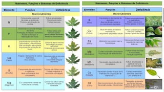 ©
Deficiência
•A
Prof. Kyoshi Beraldo
©
 