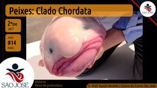 Peixes: Clado Chordata
#14
aula
2ºEM
2017
©
Prof. Kyoshi Beraldo | Centro de Ensino São José
maio
Blobfish
Peixe de profundeza
 