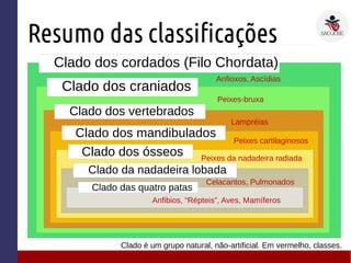 Resumo das classificações
Clado dos cordados (Filo Chordata)
Clado dos craniados
Clado dos vertebrados
Clado dos mandibulados
Clado dos ósseos
Clado da nadadeira lobada
Clado das quatro patas
Anfibios, “Répteis”, Aves, Mamíferos
Celacantos, Pulmonados
Peixes da nadadeira radiada
Peixes cartilaginosos
Lampréias
Peixes-bruxa
Anfioxos, Ascídias
Clado é um grupo natural, não-artificial. Em vermelho, classes.
 