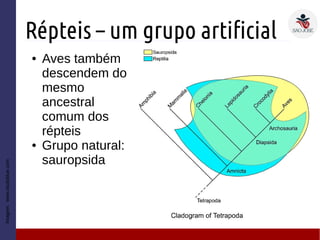 Répteis – um grupo artificial
Imagem:www.studyblue.com
● Aves também
descendem do
mesmo
ancestral
comum dos
répteis
● Grupo natural:
sauropsida
 