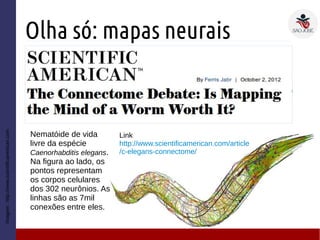 Olha só: mapas neurais
Imagem:http://www.scientificamerican.com
Nematóide de vida
livre da espécie
Caenorhabditis elegans.
Na figura ao lado, os
pontos representam
os corpos celulares
dos 302 neurônios. As
linhas são as 7mil
conexões entre eles.
Link
http://www.scientificamerican.com/article
/c-elegans-connectome/
 
