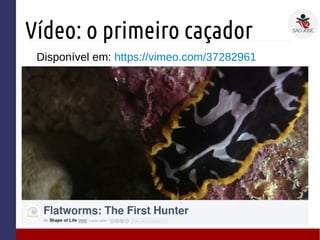 Vídeo: o primeiro caçador
Disponível em: https://vimeo.com/37282961
 