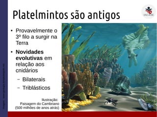 Platelmintos são antigos
● Provavelmente o
3º filo a surgir na
Terra
● Novidades
evolutivas em
relação aos
cnidários
– Bilaterais
– Triblásticos
Imagem:www.geologia.templodeapolo.net
Ilustração:
Paisagem do Cambriano
(500 milhões de anos atrás)
 