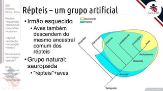 ©
Répteis – um grupo artificial
Prof. Kyoshi Beraldo
©
•Irmão esquecido
• Aves também
descendem do
mesmo ancestral
comum dos
répteis
•Grupo natural:
sauropsida
• "répteis"+aves
#20
Répteis,
Dinos, Aves
Répteis
>squamata
>testudines
>crocodilia
>tuataras
>reprod.
>excreção
>circulação
>clados
Dinossauros
>archosaur
>penas?
Aves
>paleognat
>neognat
>penas
>reprodução
 