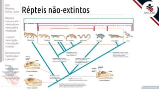 ©
Répteis não-extintos
Prof. Kyoshi Beraldo
©
#20
Répteis,
Dinos, Aves
Répteis
>squamata
>testudines
>crocodilia
>tuataras
>reprod.
>excreção
>circulação
>clados
Dinossauros
>archosaur
>penas?
Aves
>paleognat
>neognat
>penas
>reprodução
 