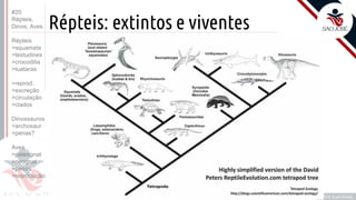 ©
Répteis: extintos e viventes
Prof. Kyoshi Beraldo
©
• O
#20
Répteis,
Dinos, Aves
Répteis
>squamata
>testudines
>crocodilia
>tuataras
>reprod.
>excreção
>circulação
>clados
Dinossauros
>archosaur
>penas?
Aves
>paleognat
>neognat
>penas
>reprodução
 
