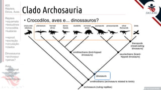 ©
Clado Archosauria
Prof. Kyoshi Beraldo
©
• Crocodilos, aves e... dinossauros?
#20
Répteis,
Dinos, Aves
Répteis
>squamata
>testudines
>crocodilia
>tuataras
>reprod.
>excreção
>circulação
>clados
Dinossauros
>archosaur
>penas?
Aves
>paleognat
>neognat
>penas
>reprodução
 