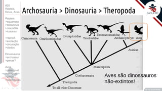 ©
Archosauria > Dinosauria > Theropoda
Prof. Kyoshi Beraldo
©
• O
#20
Répteis,
Dinos, Aves
Répteis
>squamata
>testudines
>crocodilia
>tuataras
>reprod.
>excreção
>circulação
>clados
Dinossauros
>archosaur
>penas?
Aves
>paleognat
>neognat
>penas
>reprodução
 