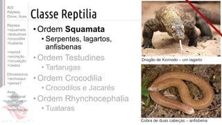 ©
Classe Reptilia
Prof. Kyoshi Beraldo
•Ordem Squamata
• Serpentes, lagartos,
anfisbenas
•Ordem Testudines
• Tartarugas
•Ordem Crocodilia
• Crocodilos e Jacarés
•Ordem Rhynchocephalia
• Tuataras
#20
Répteis,
Dinos, Aves
Répteis
>squamata
>testudines
>crocodilia
>tuataras
>reprod.
>excreção
>circulação
>clados
Dinossauros
>archosaur
>penas?
Aves
>paleognat
>neognat
>penas
>reprodução
 
