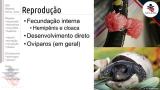 ©
Reprodução
Prof. Kyoshi Beraldo
©
• Fecundação interna
• Hemipênis e cloaca
• Desenvolvimento direto
• Ovíparos (em geral)
#20
Répteis,
Dinos, Aves
Répteis
>squamata
>testudines
>crocodilia
>tuataras
>reprod.
>excreção
>circulação
>clados
Dinossauros
>archosaur
>penas?
Aves
>paleognat
>neognat
>penas
>reprodução
 