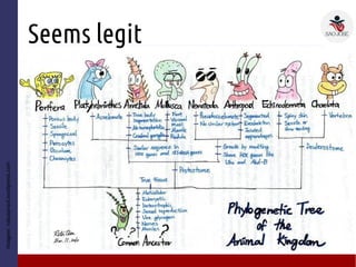 Seems legit
● Ds
– D
Imagem:natusansol.wordpress.com
 