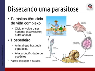 Dissecando uma parasitose
● Parasitas têm ciclo
de vida complexo
– Ciclo envolve o ser
humano e (geralmente)
outro animal
● Hospedeiro
– Animal que hospeda
o parasita
– Alta especificidade de
espécies
● Agente etiológico = parasita
Imagem:www.sobiologia.com.br
 