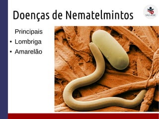 Doenças de Nematelmintos
Principais
● Lombriga
● Amarelão
 