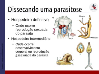Dissecando uma parasitose
● Hospedeiro definitivo
– Onde ocorre
reprodução sexuada
do parasita
● Hospedeiro intermediário
– Onde ocorre
desenvolvimento
corporal ou reprodução
assexuada do parasita
Imagem:interna.coceducacao.com.br
 