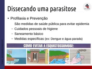 Dissecando uma parasitose
● Profilaxia e Prevenção
São medidas de saúde pública para evitar epidemia
– Cuidados pessoais de higiene
– Saneamento básico
– Medidas específicas (ex: Dengue e água parada)
Imagem:desmanipulador.blogspot.com
 