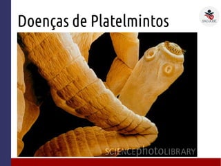 Doenças de Platelmintos
 