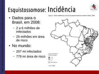 Esquistossomose: Incidência
Imagem:http://portal.saude.gov.br/portal/arquivos/pdf/gve_7ed_web_atual_esquistissomose_mansonica.pdf
● Dados para o
Brasil, em 2008:
– 2 a 6 milhões de
infectados
– 25 milhões em área
de risco
● No mundo:
– 207 mi infectados
– 779 mi área de risco
 
