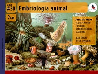 #30
Set 2016
Prof. Kyoshi
Imagem:morselsandscraps.wordpress.com
Aula de Hoje:
• Gastrulação
• Tecidos
embrionários
• Celoma
2EM
Embriologia animal
aula