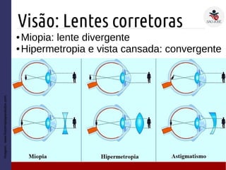 Visão: Lentes corretoras
● Miopia: lente divergente
● Hipermetropia e vista cansada: convergente
Imagem:www.fisioterapiaparatodos.com
 