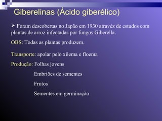 Giberelinas (Ácido giberélico) 
 Foram descobertas no Japão em 1930 atravéz de estudos com 
plantas de arroz infectadas por fungos Giberella. 
OBS: Todas as plantas produzem. 
Transporte: apolar pelo xilema e floema 
Produção: Folhas jovens 
Embriões de sementes 
Frutos 
Sementes em germinação 
 